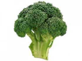10_broccoli