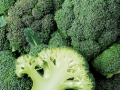 broccoli-02