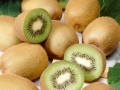 kiwi-03