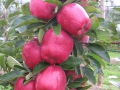 P9050025