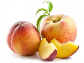 01_pesche