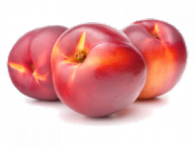 02_nettarine