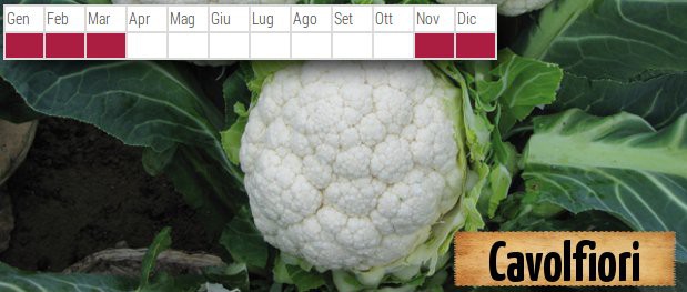 11-cavolfiori