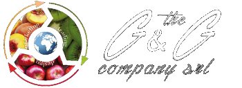 GG Company